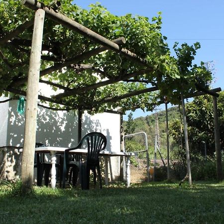 Casa La Maceta Villa Cádiz Kültér fotó