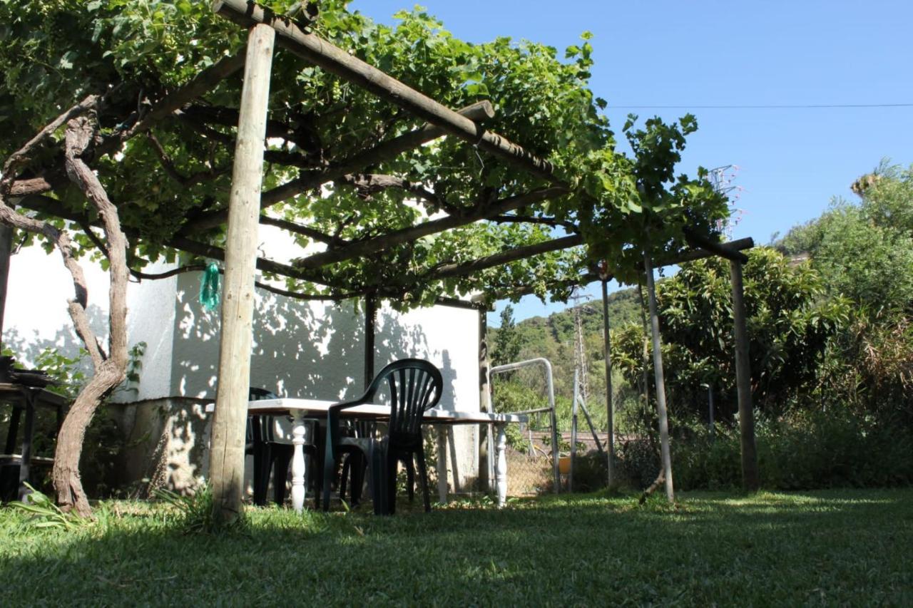 Casa La Maceta Villa Cádiz Kültér fotó