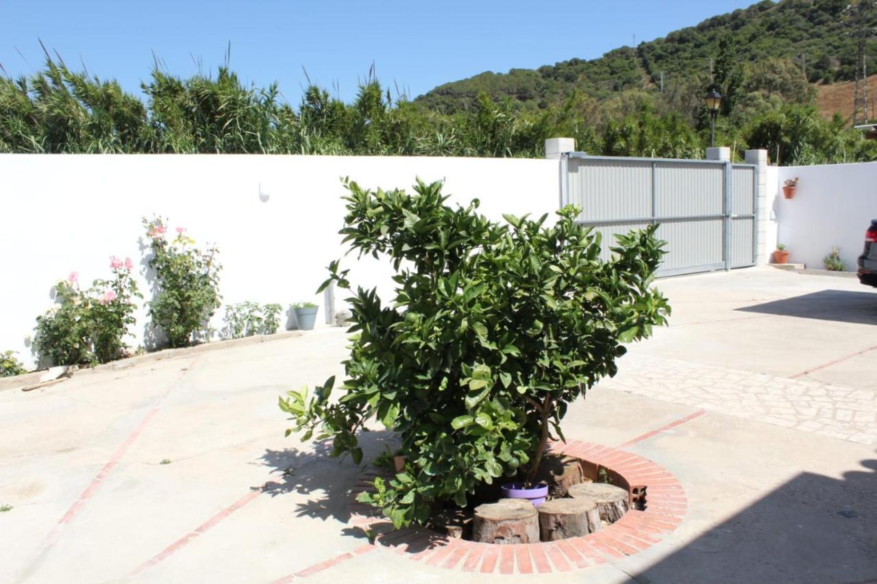 Casa La Maceta Villa Cádiz Kültér fotó